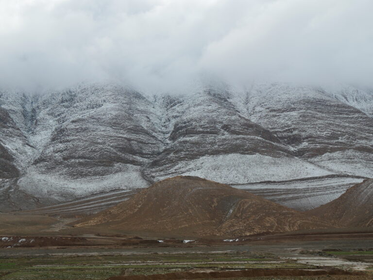 IMG_1816-768x577